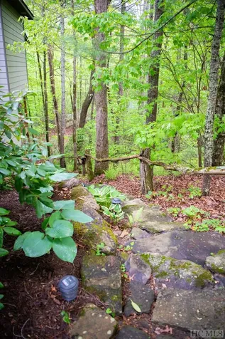 277 Deer Run Road Sapphire NC 28774