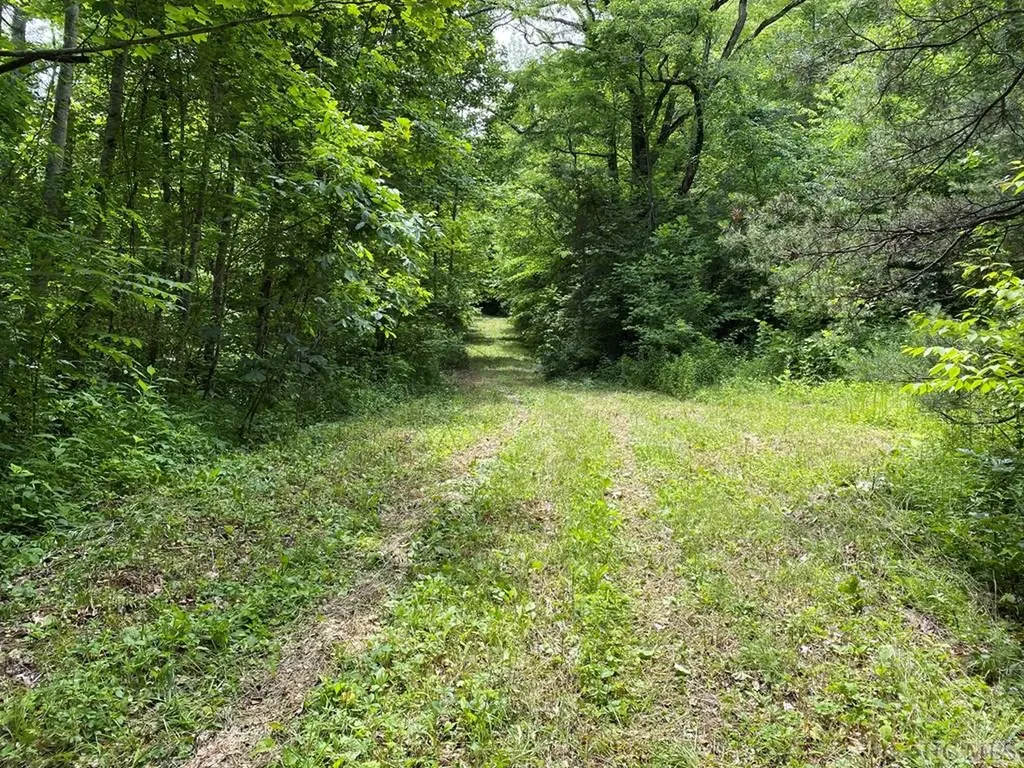 Trail 1-3 Moody Bridge Road Cullowhee NC 28723