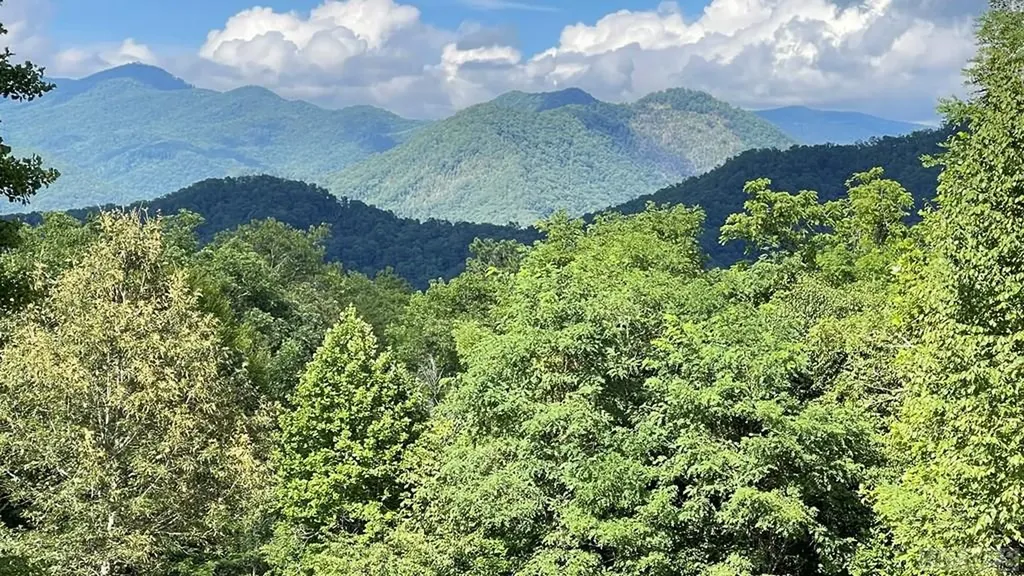 Trail 1-3 Moody Bridge Road Cullowhee NC 28723