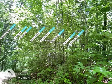 Trail 1-3 Moody Bridge Road Cullowhee NC 28723