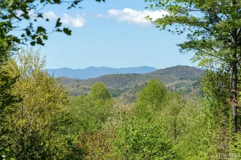 125 Audubon Trail Cashiers NC 28717
