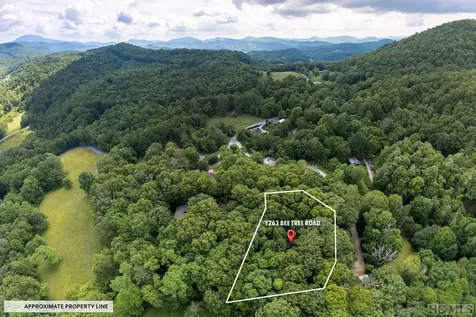 1263 Bee Tree Road Glenville NC 28736