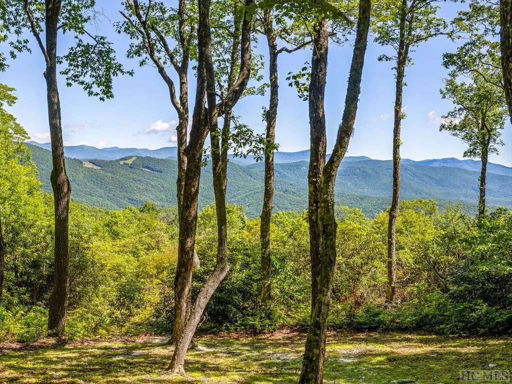 Ps 3 Panther Summit Drive Lake Toxaway NC 28747