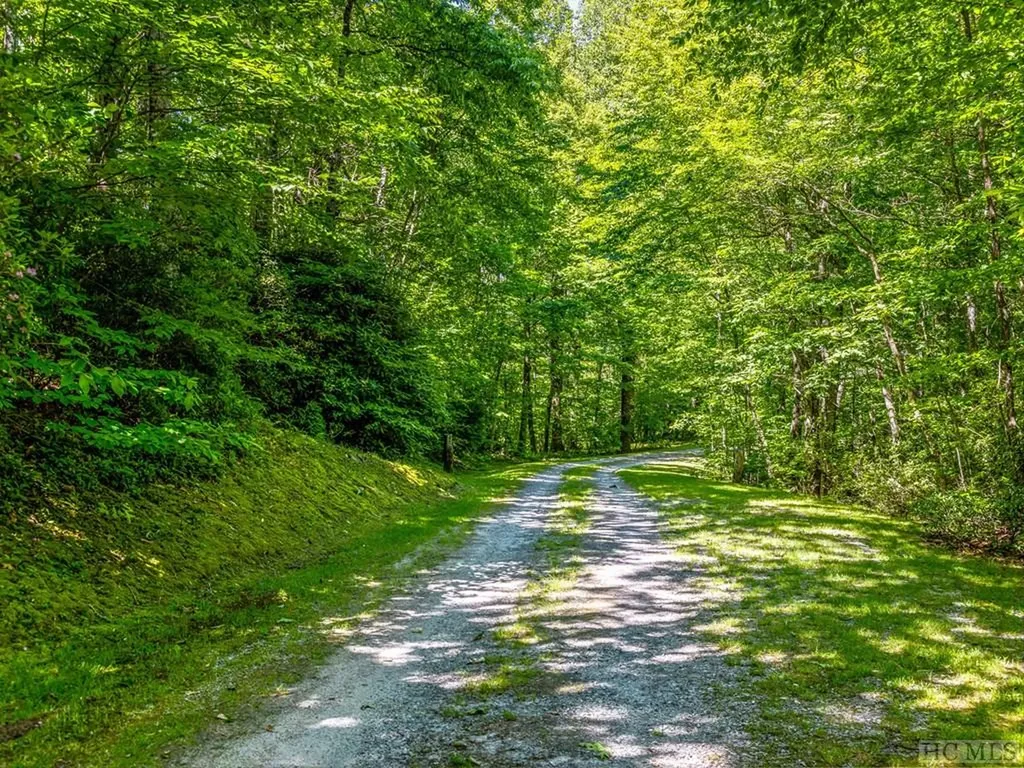 Ps 3 Panther Summit Drive Lake Toxaway NC 28747