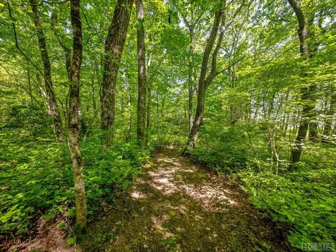 Ps 3 Panther Summit Drive Lake Toxaway NC 28747