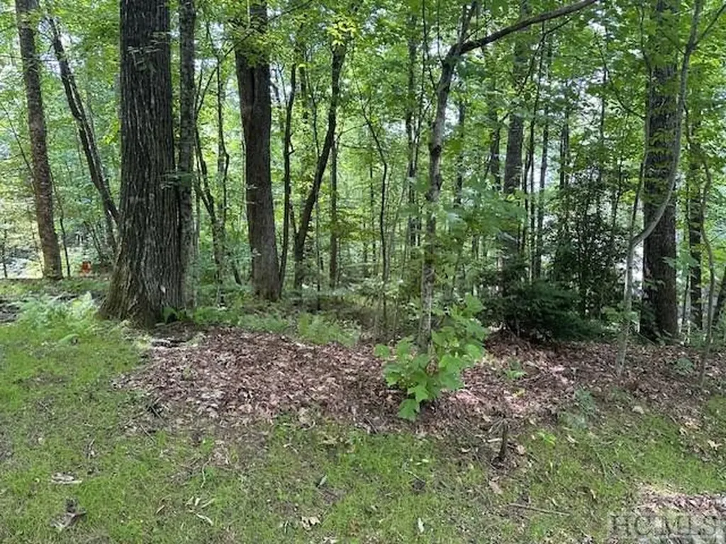 Lot 52 Black Oak Drive Sapphire NC 28774