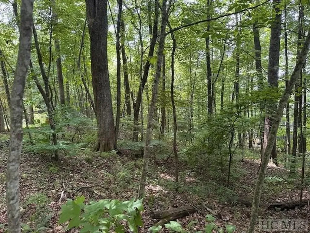 Lot 52 Black Oak Drive Sapphire NC 28774