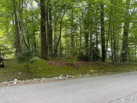 Lot 52 Black Oak Drive Sapphire NC 28774