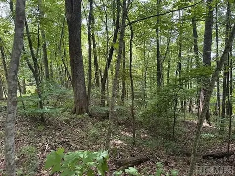 Lot 52 Black Oak Drive Sapphire NC 28774