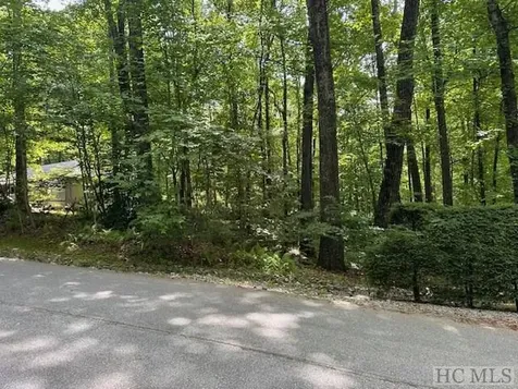 Lot 52 Black Oak Drive Sapphire NC 28774