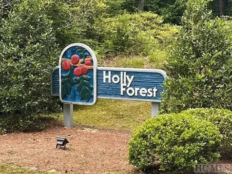 Lot 52 Black Oak Drive Sapphire NC 28774