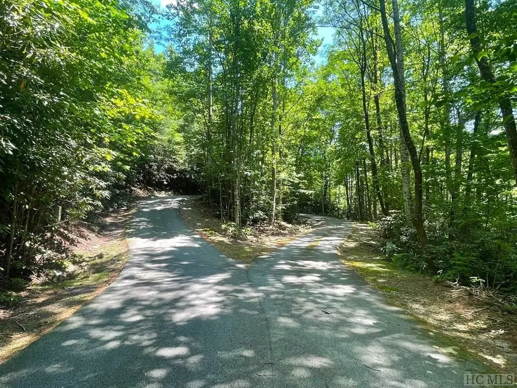 Lot 283 Pine Cone Court Sapphire NC 28774