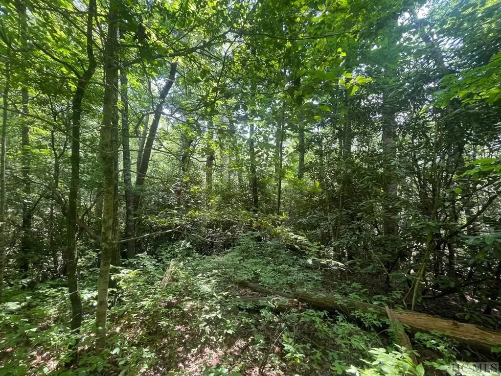 Lot 283 Pine Cone Court Sapphire NC 28774