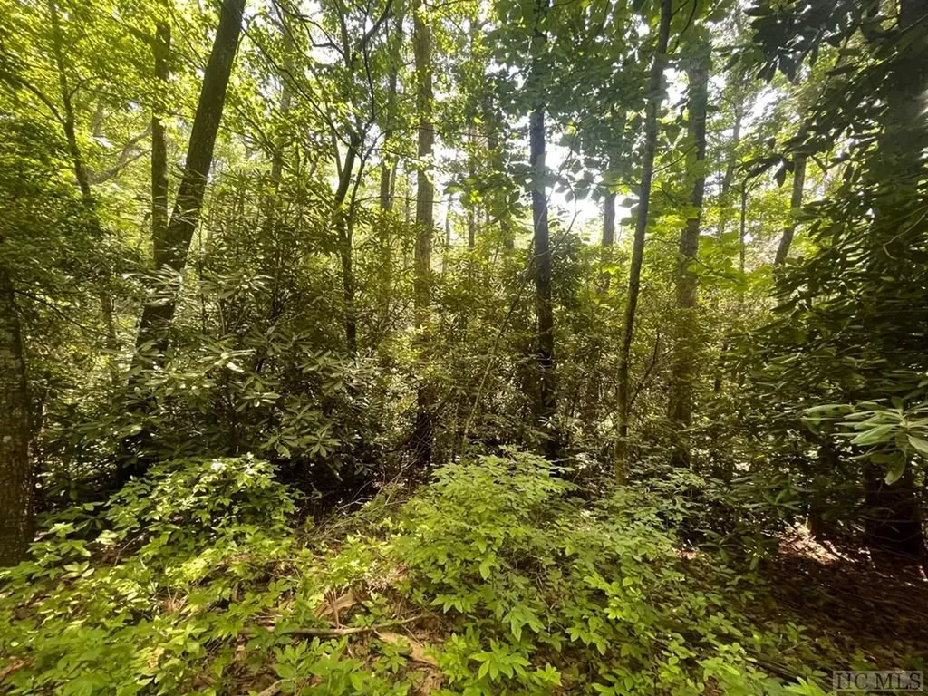 Lot 283 Pine Cone Court Sapphire NC 28774