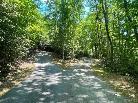Lot 283 Pine Cone Court Sapphire NC 28774
