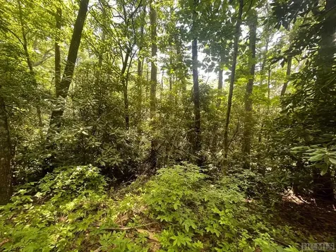 Lot 283 Pine Cone Court Sapphire NC 28774