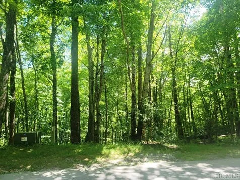 Lot 36 Locust Court Sapphire NC 28774