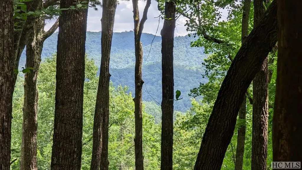 399 Meadowcrest Drive Cashiers NC 28717