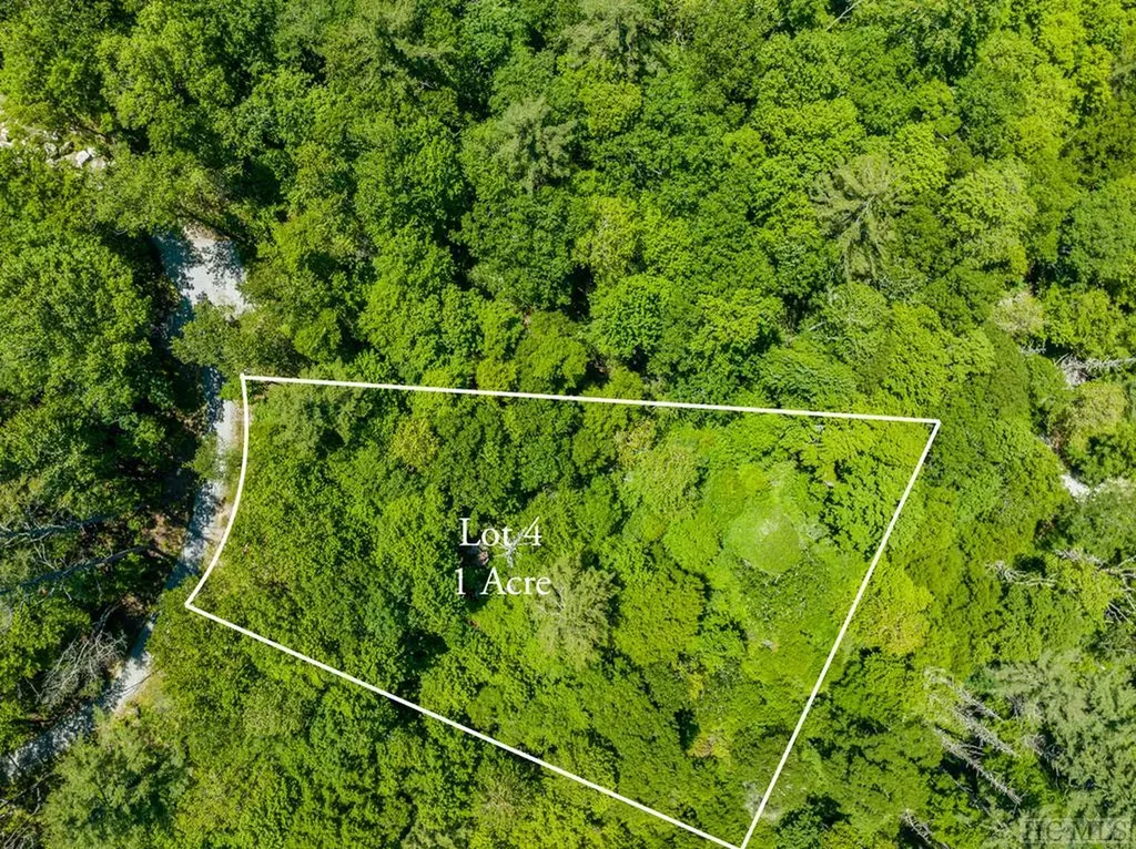 Lot 4 Big Bear Pen Road Highlands NC 28741
