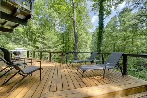 1323 W W Christy Trail Sapphire NC 28774