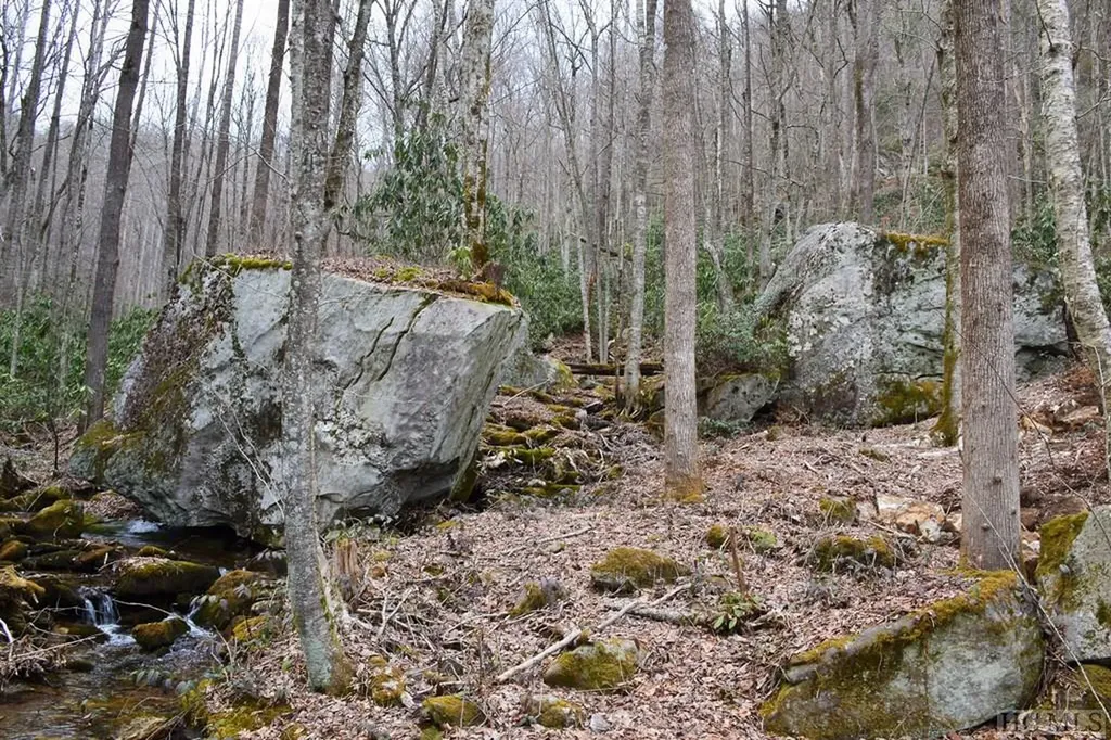 Multi Spike Moss Road Sapphire NC 28774