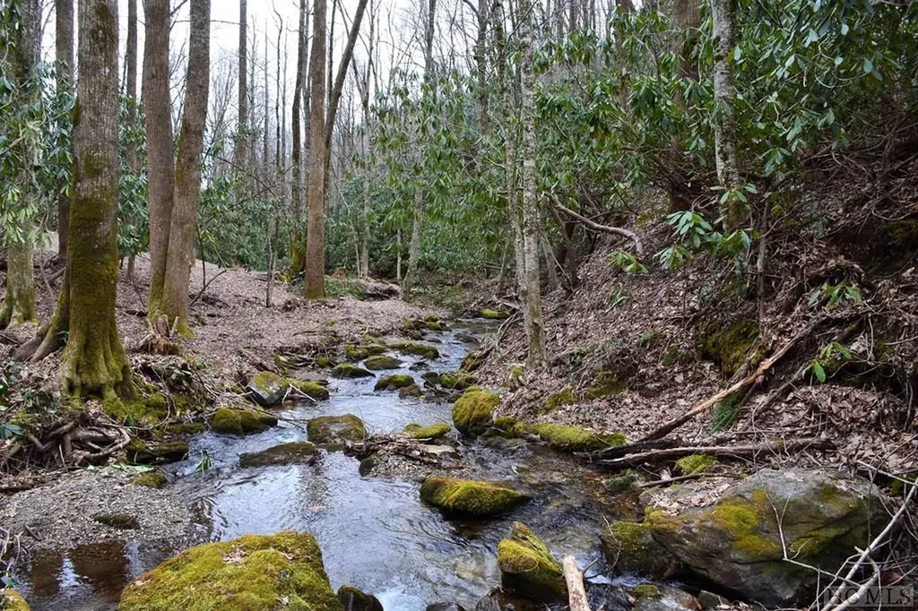 Multi Spike Moss Road Sapphire NC 28774