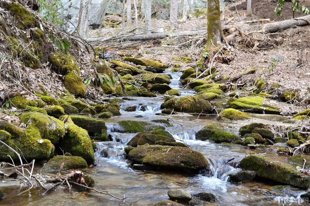 Multi Spike Moss Road Sapphire NC 28774