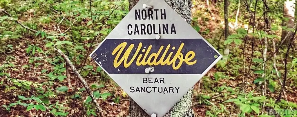 Multi Spike Moss Road Sapphire NC 28774