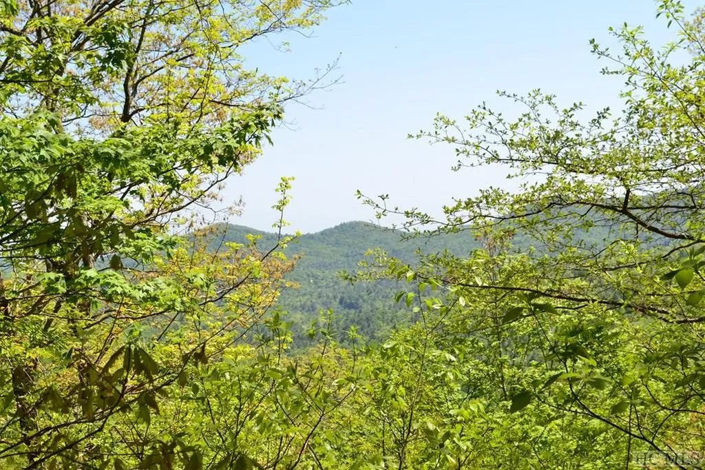 Multi Spike Moss Road Sapphire NC 28774