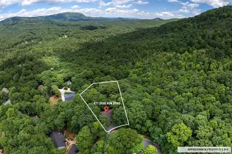 471 Deer Run Road Sapphire NC 28774