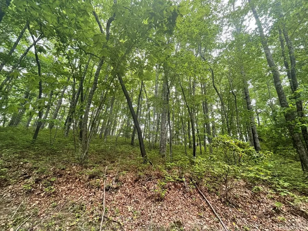 Lot 133 Leafy Knoll Circle Glenville NC 28736