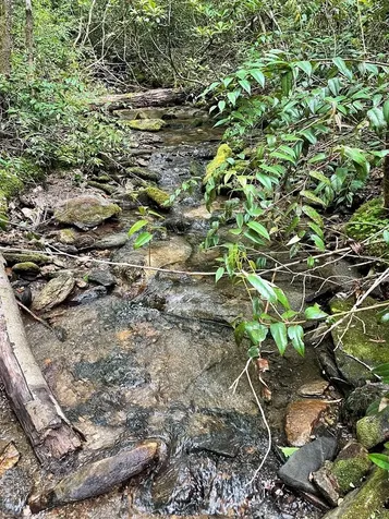 Lot 133 Leafy Knoll Circle Glenville NC 28736