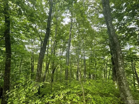 Lot 133 Leafy Knoll Circle Glenville NC 28736