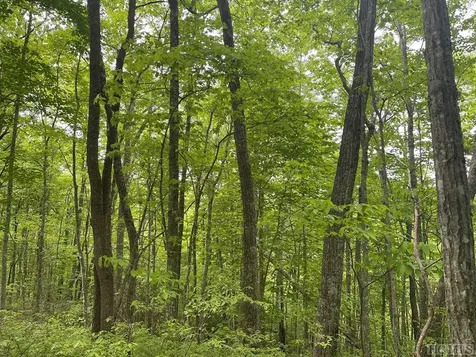 Lot 133 Leafy Knoll Circle Glenville NC 28736
