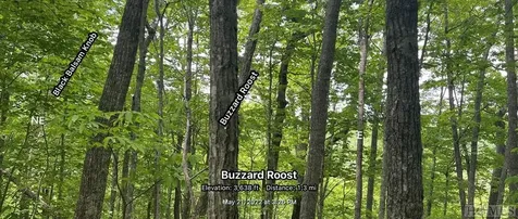 Lot 133 Leafy Knoll Circle Glenville NC 28736