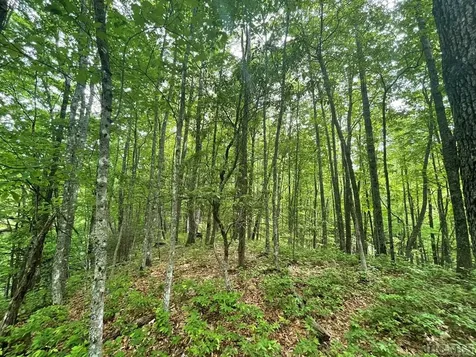 Lot 133 Leafy Knoll Circle Glenville NC 28736
