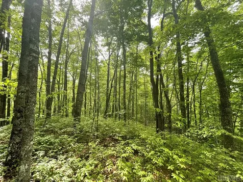 Lot 133 Leafy Knoll Circle Glenville NC 28736