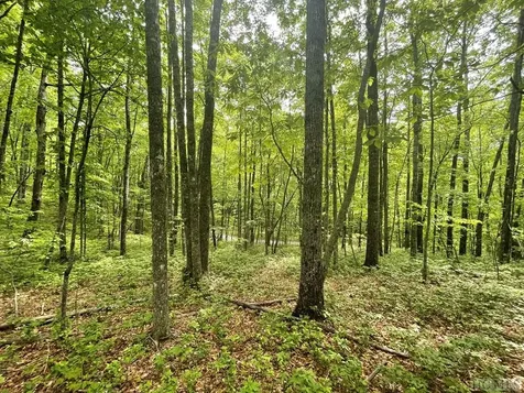 Lot 133 Leafy Knoll Circle Glenville NC 28736
