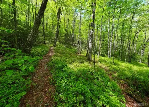 Lot 45 East Valley Drive Sapphire NC 28774