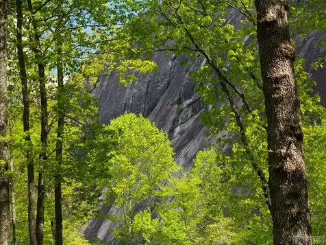 Lot 45 East Valley Drive Sapphire NC 28774