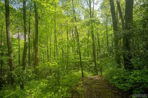 Lot 45 East Valley Drive Sapphire NC 28774