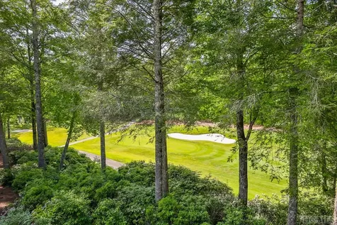 99 S River Park Villas Drive Sapphire NC 28774