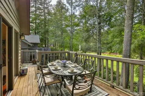 99 S River Park Villas Drive Sapphire NC 28774