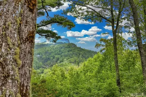 194 Big Bear Pen Lane Highlands NC 28741