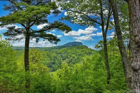 194 Big Bear Pen Lane Highlands NC 28741