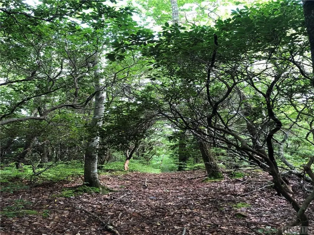 Tbd Little Elbow Mountain Road Lake Toxaway NC 28747