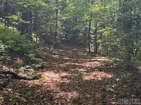 104 Hawk Mountain Road Lake Toxaway NC 28747