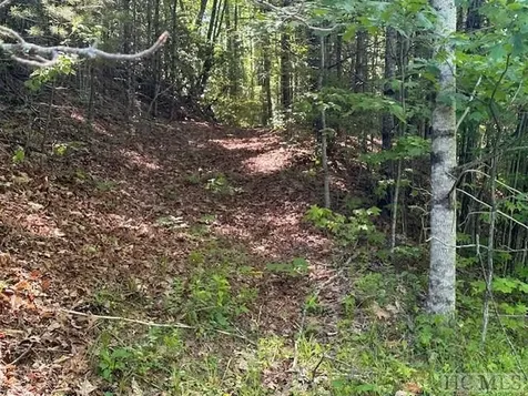 104 Hawk Mountain Road Lake Toxaway NC 28747