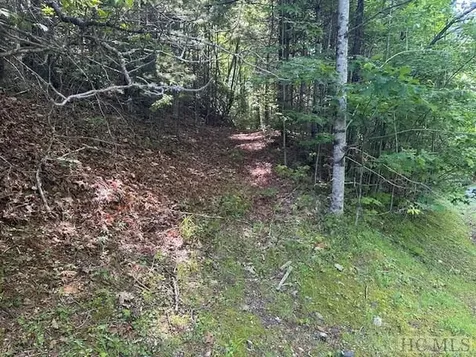 104 Hawk Mountain Road Lake Toxaway NC 28747