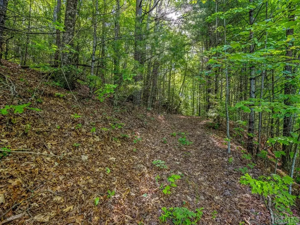 Tbd Hawk Mountain Road Lake Toxaway NC 28747